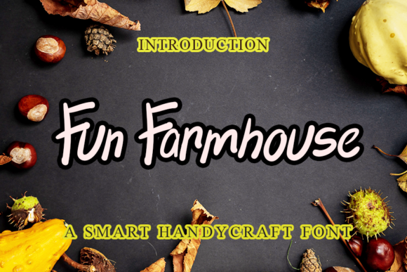 Fun Farmhouse