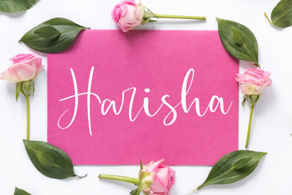 Harisha Font: A Playful Touch for Creative Designs