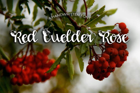 Red Guelder Rose: A Stylish and Delicate Handwritten Font for Modern Design