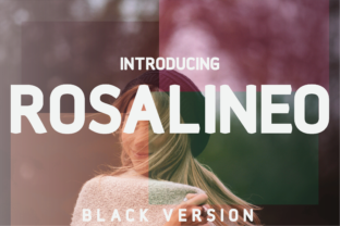 Rosalineo Black: A Modern Typographic Tribute to Helvetica